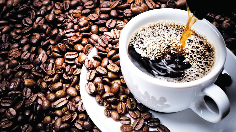 <div class="paragraphs"><p>The Coffee Board’s statistics revealed that as of February 14, mild arabica costs Rs 800.42 per kg, while robusta is priced at Rs 512.45 per kg.</p></div>