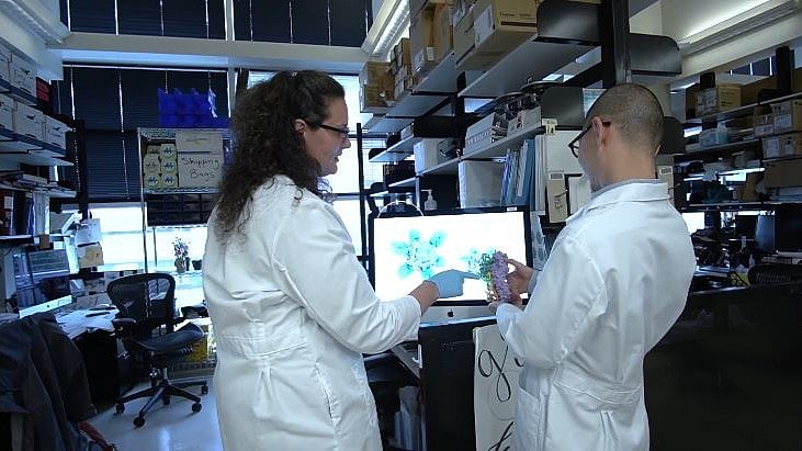 <div class="paragraphs"><p>National Institutes of Health researchers</p></div>