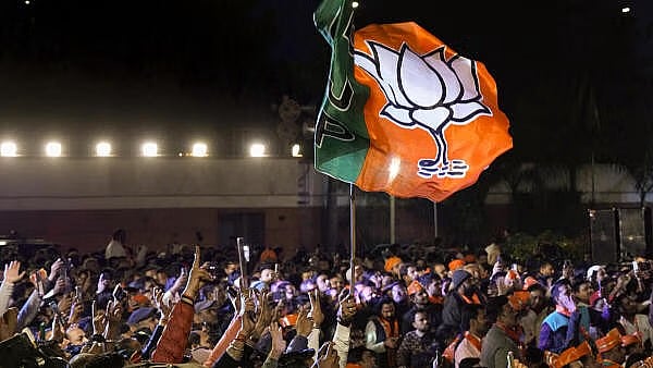 <div class="paragraphs"><p>Celebrations after BJP wins Delhi polls</p></div>