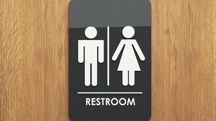 <div class="paragraphs"><p>Image for representation.</p></div>