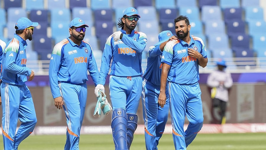 <div class="paragraphs"><p>Mohammed Shami celebrates his five-wicket haul. </p></div>