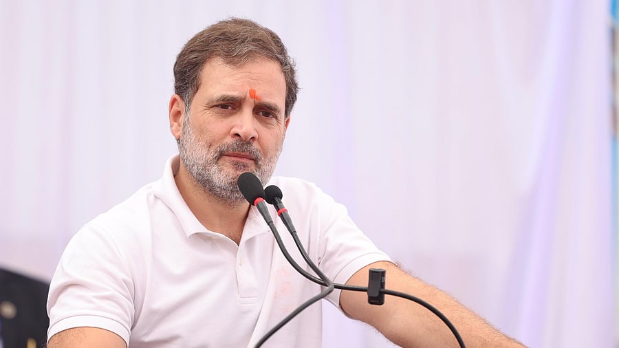 <div class="paragraphs"><p>Rahul Gandhi&nbsp;</p></div>