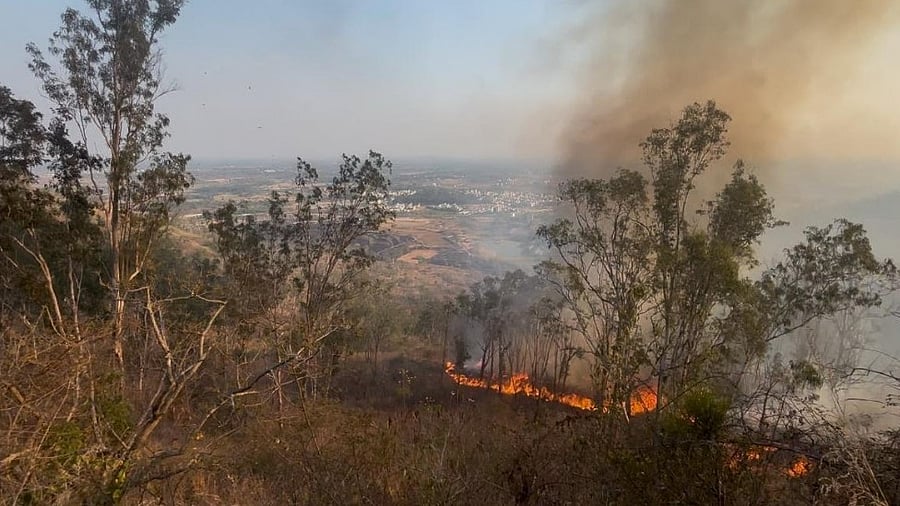 <div class="paragraphs"><p>Forest fire in Chamundi hills on February 21, 2025 in Mysuru.</p></div>