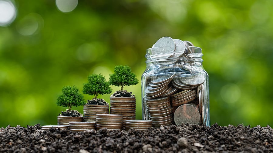 <div class="paragraphs"><p>Representative image.</p></div>