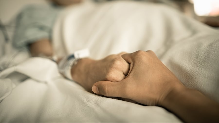 <div class="paragraphs"><p>Image for representation.</p></div>