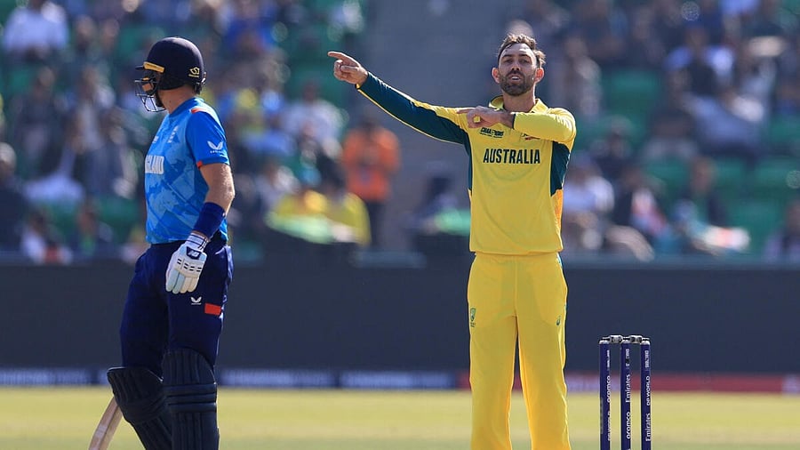 <div class="paragraphs"><p> Australia's Glenn Maxwell.</p></div>