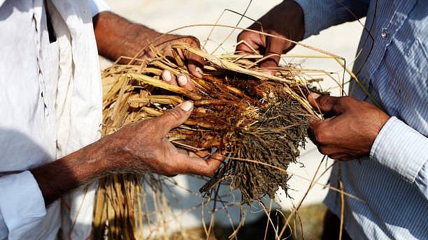 <div class="paragraphs"><p>Representative image of&nbsp;bonded labour.</p></div>
