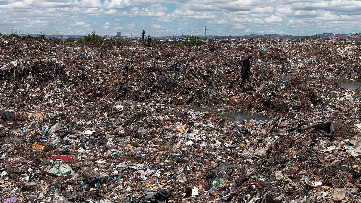 Man wants to search dump for lost hard drive with bitcoin fortune: Here are  his odds of finding it