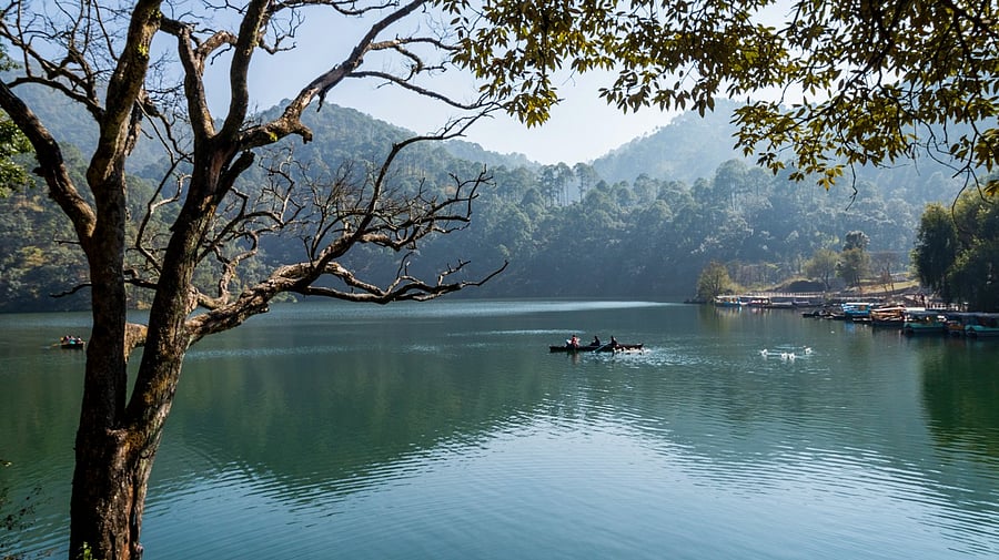 <div class="paragraphs"><p>Representative image of a lake</p></div>