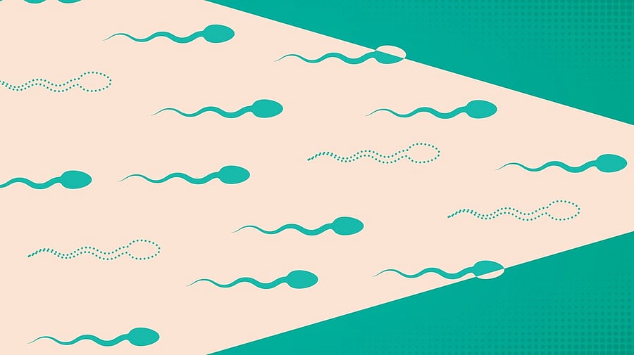 <div class="paragraphs"><p>Reprsentative image of sperm.</p></div>