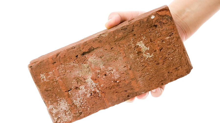 <div class="paragraphs"><p>Man with a brick in hand. (Image for representation)</p></div>