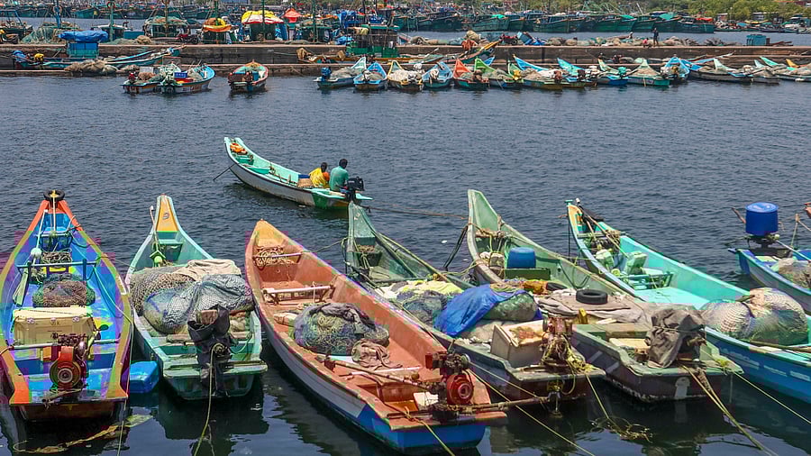 <div class="paragraphs"><p>Boats anchored at Ennore near Chennai. Representative image</p></div>