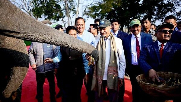 <div class="paragraphs"><p>External Affairs Minister S Jaishankar along with Heads of Missions feeds an elephant during an early morning safari at Kaziranga National Park, Assam, on Monday.</p></div>