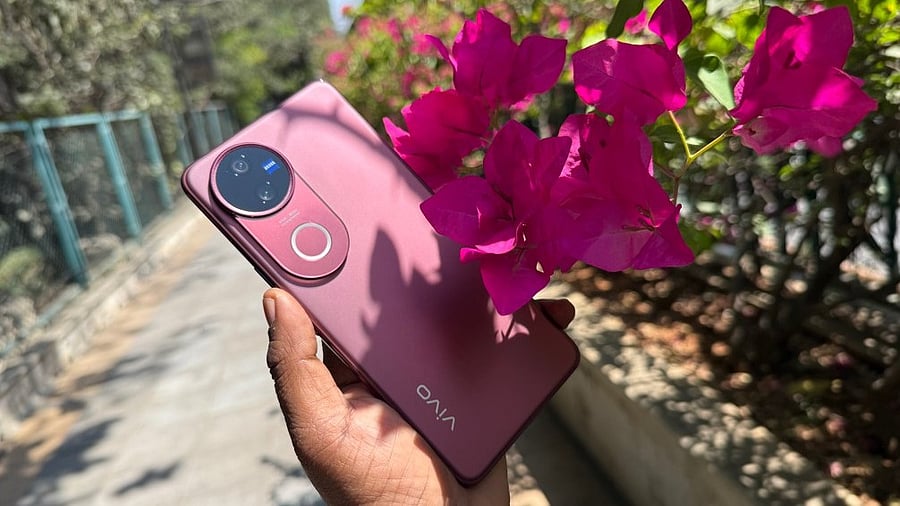 <div class="paragraphs"><p>Vivo V50 series.</p></div>