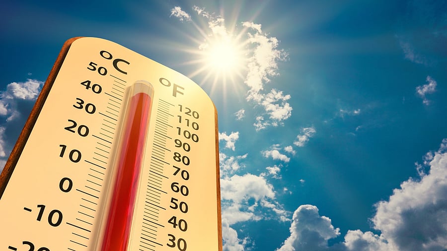 <div class="paragraphs"><p>Representative image of a thermometer&nbsp;</p></div>