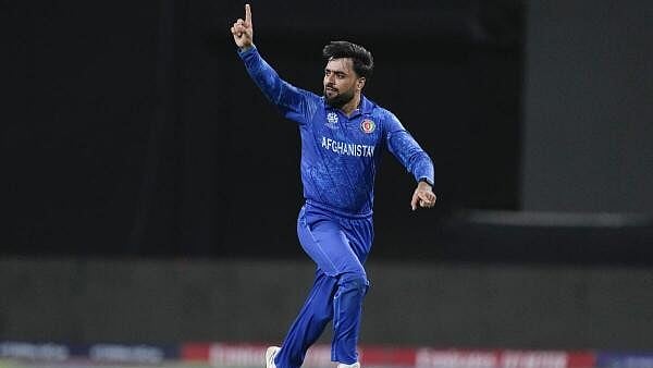 <div class="paragraphs"><p>Rashid Khan celebrates</p></div>
