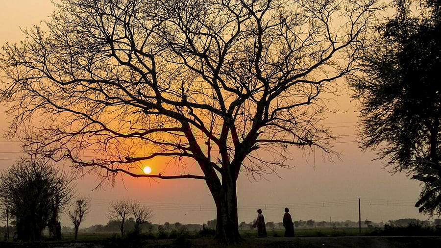 <div class="paragraphs"><p>People return home as the sun sets, in Nadia, West Bengal</p></div>