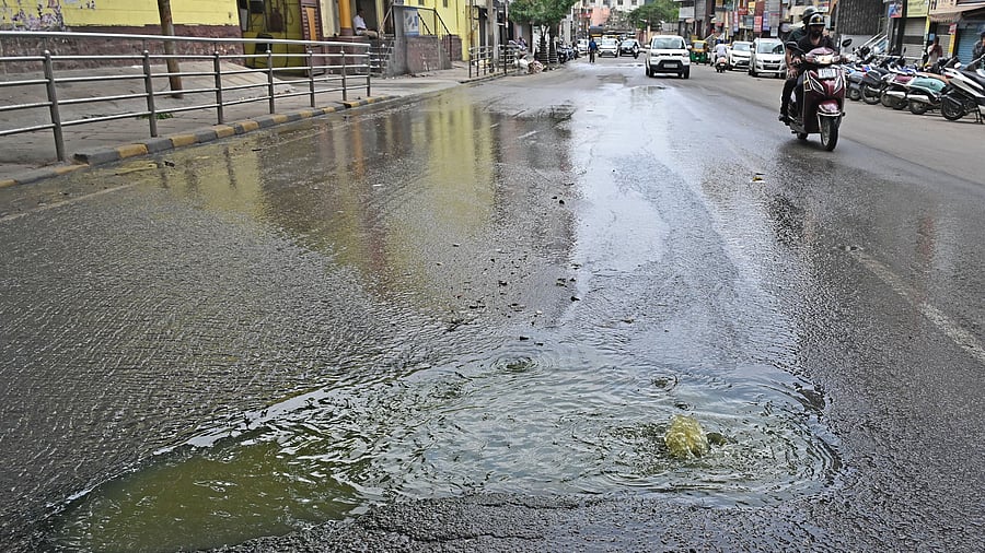 <div class="paragraphs"><p>Overflowing drains are a common sight in areas with a high concentration ofcommercial kitchens. </p></div>