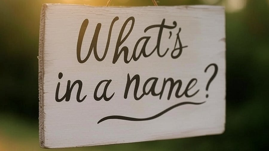 <div class="paragraphs"><p>Image for representation.</p></div>