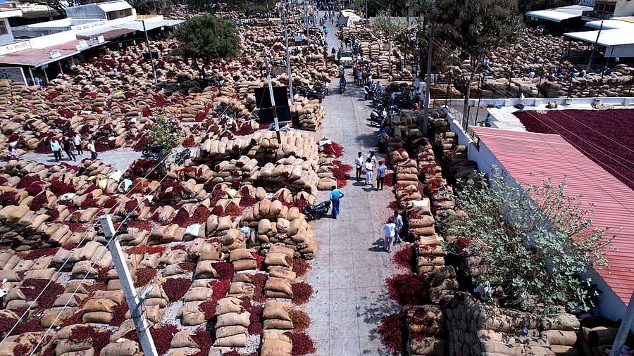 The chilli market at Byadgi in Haveri district.