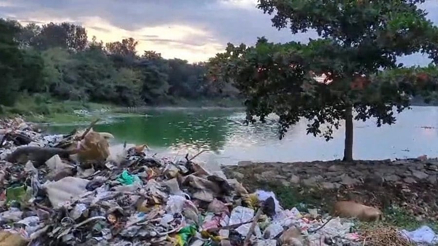 <div class="paragraphs"><p>Garbage dumped at Dorekere Lake.</p></div>