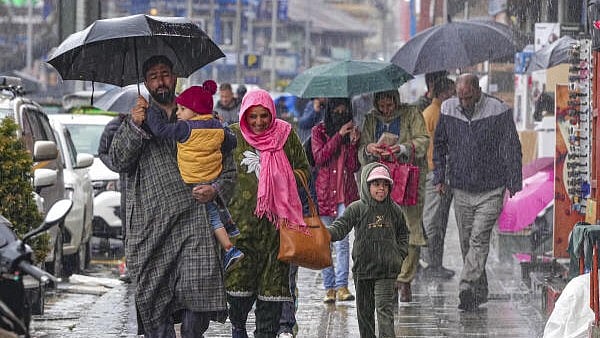 <div class="paragraphs"><p>People holding umbrellas walk down a street as its rains</p></div>