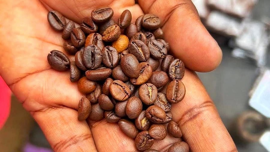 <div class="paragraphs"><p>Araku Coffee</p></div>