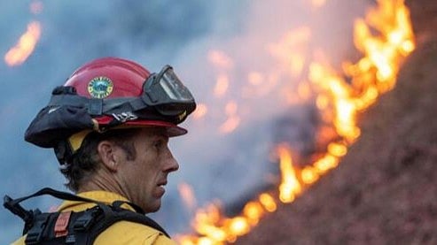 <div class="paragraphs"><p>US wildfire. Representative image.</p></div>