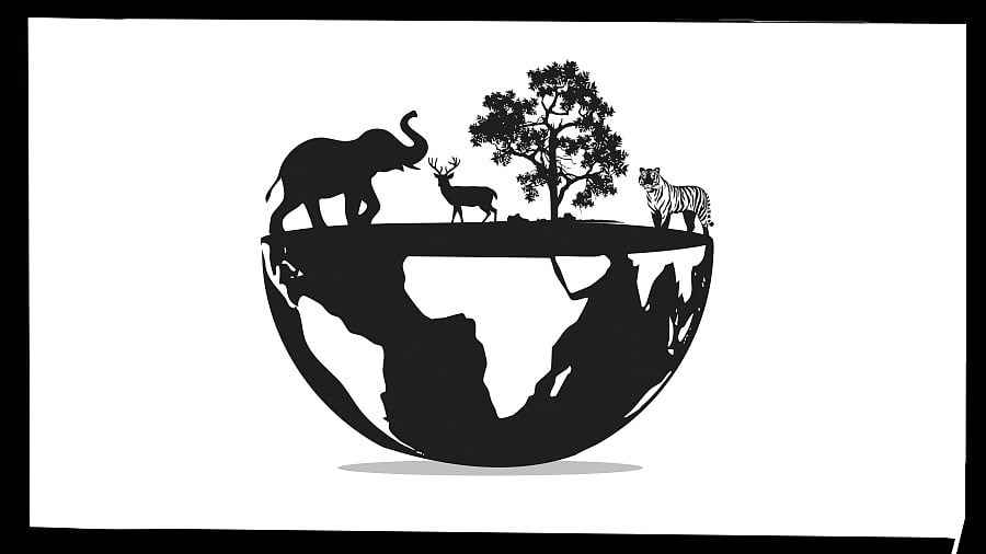 <div class="paragraphs"><p>Today, conservation efforts are scattered across various activities, from urban outreach programmes to the installation of solar-powered pumps that draw water into forest lakes.</p></div>