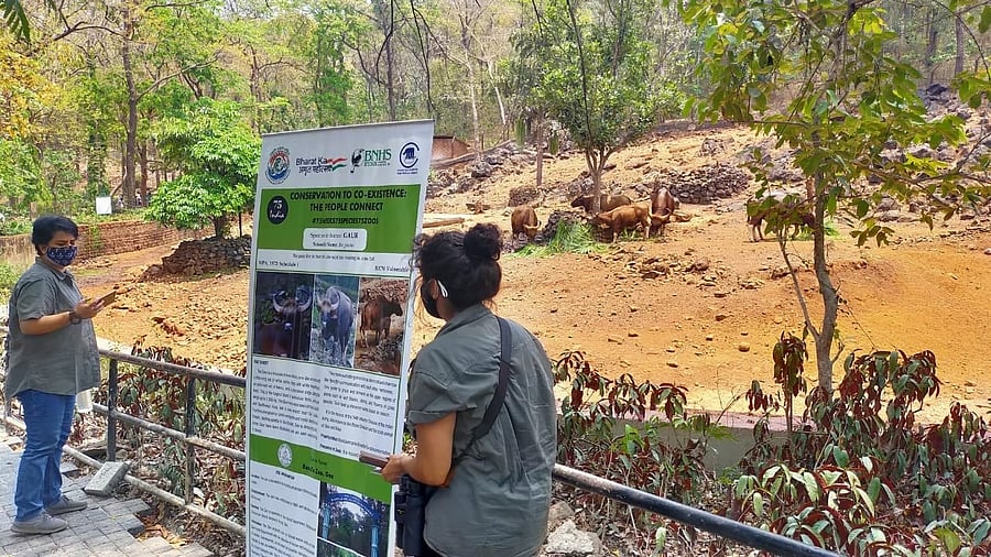 <div class="paragraphs"><p>Visitors at Goa's Bondla Zoo. </p></div>