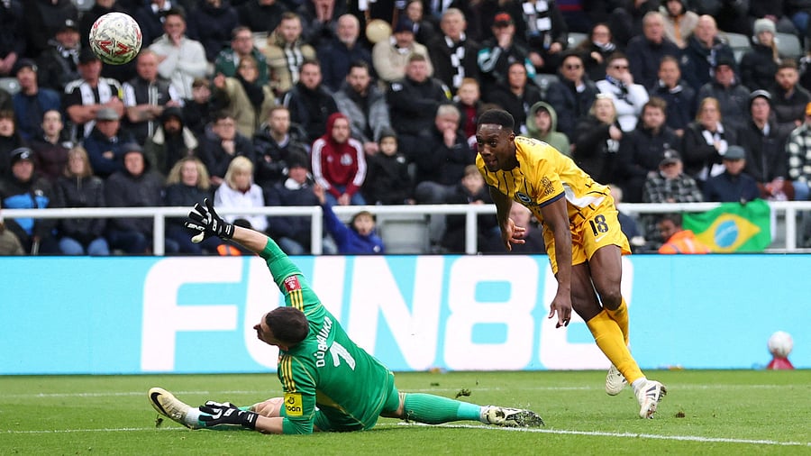 <div class="paragraphs"><p>Brighton &amp; Hove Albion's Danny Welbeck scores their second goal.</p></div>