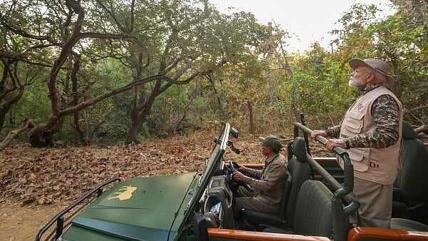 <div class="paragraphs"><p>Prime Minister Narendra Modi during lion safari at Gir Wildlife Sanctuary, on the occasion of the World Wildlife Day, in Gujarat's Junagadh district.</p></div>