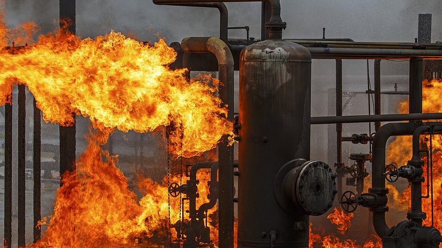 <div class="paragraphs"><p>Image for representational purposes.</p></div>