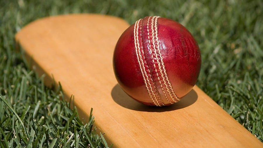 <div class="paragraphs"><p>Cricket bat and ball. Representative purpose</p></div>