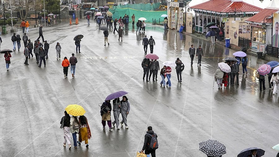 <div class="paragraphs"><p>Commuters on a road amid rain, in Shimla, Tuesday, Feb. 25, 2025. </p></div>