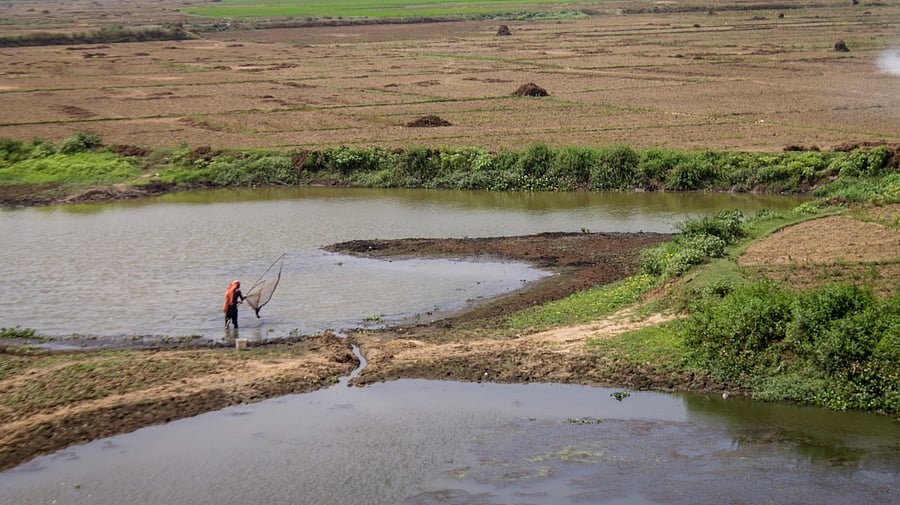 <div class="paragraphs"><p>Image showing a person fishing. For representational purposes.</p></div>