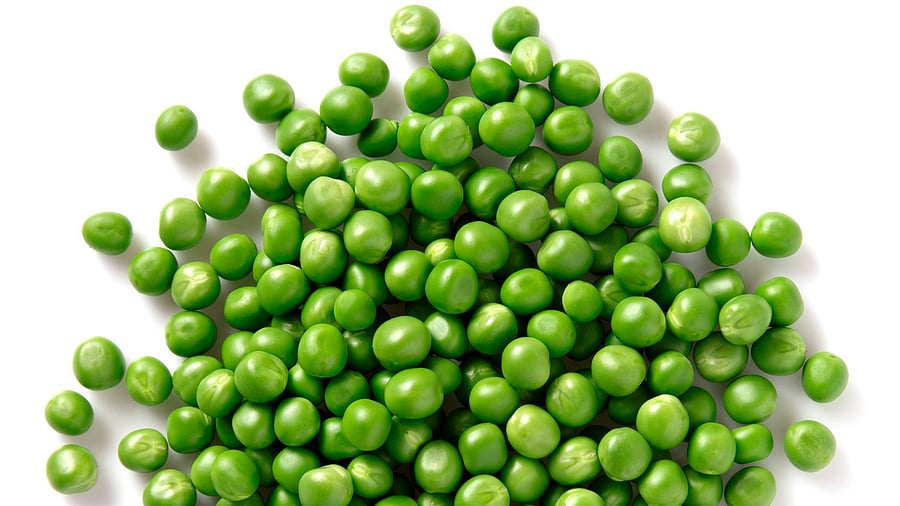 <div class="paragraphs"><p>Representative image of green peas.&nbsp;</p></div>