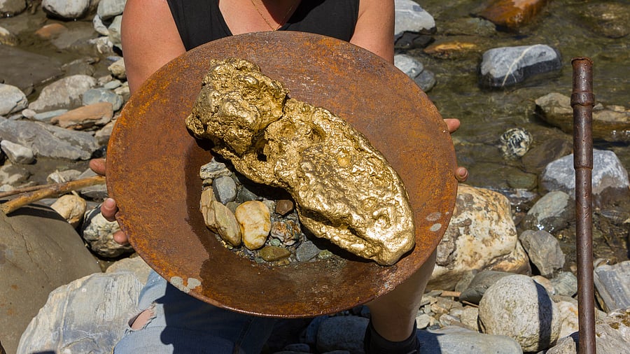 <div class="paragraphs"><p>Representative image indicating gold nugget taken out of river</p></div>