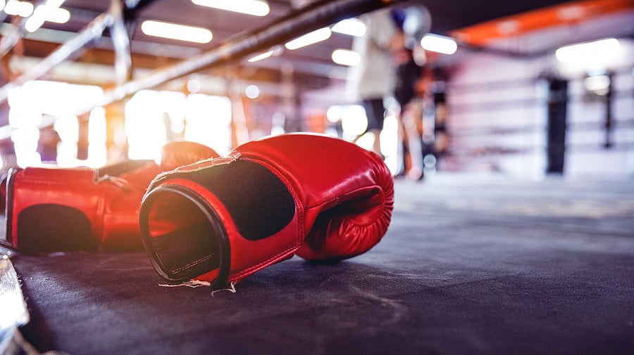 <div class="paragraphs"><p>Image showing boxing gloves on a ring. For representational purposes.</p></div>