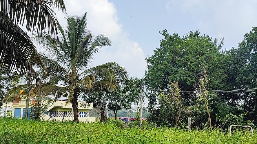 <div class="paragraphs"><p>Image showing a village. For representational purposes.</p></div>