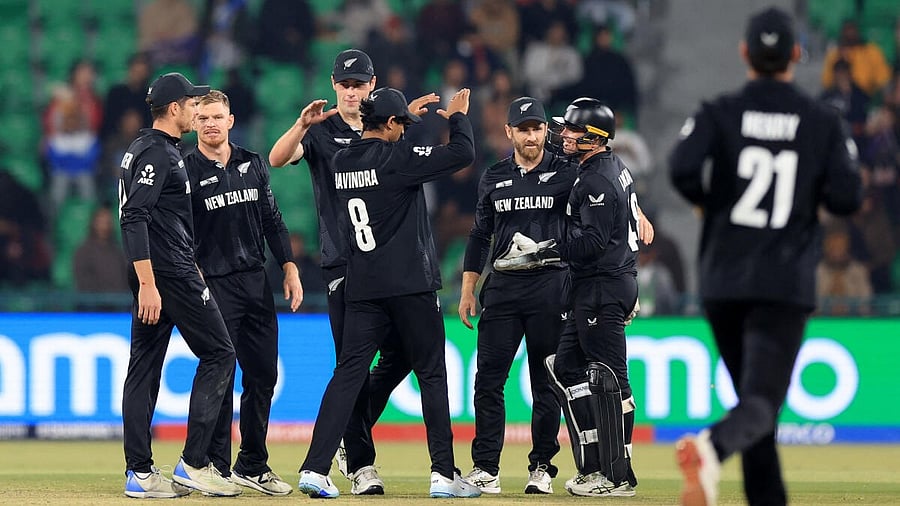 <div class="paragraphs"><p>New Zealand players celebrate the win.&nbsp;</p></div>