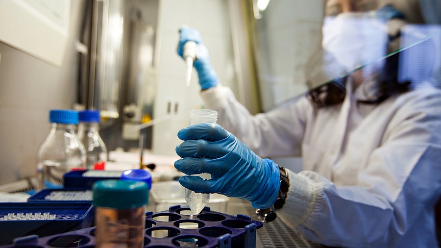 <div class="paragraphs"><p>Representative image of genetic testing being done. </p></div>