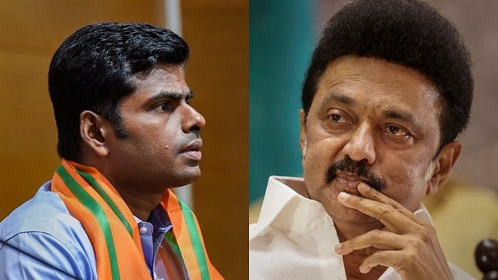 <div class="paragraphs"><p>Tamil Nadu BJP Chief K Annamalai (L) and Tamil Nadu Chief Minister MK Stalin. </p></div>