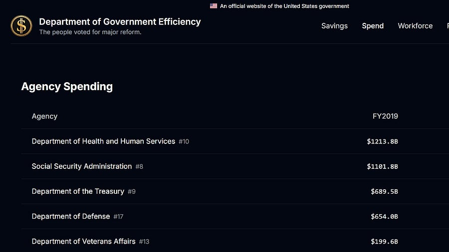 <div class="paragraphs"><p>Screengrab showing the DOGE website.</p></div>