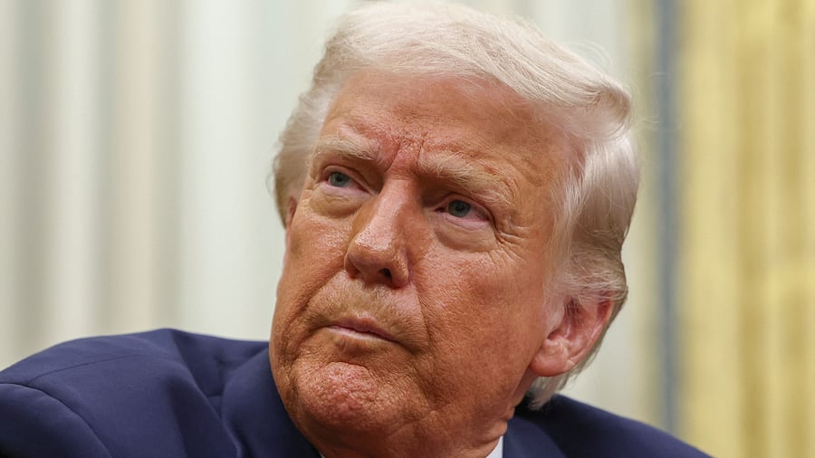 <div class="paragraphs"><p>Donald Trump</p></div>