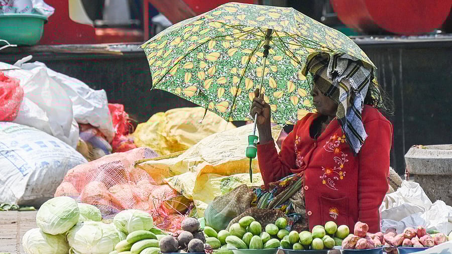 <div class="paragraphs"><p>Women sale vegetable holding umbrella and cover the head by cloth to beat the heat at K R Market in Bengaluru on Saturday, 08th March 2025. </p></div>