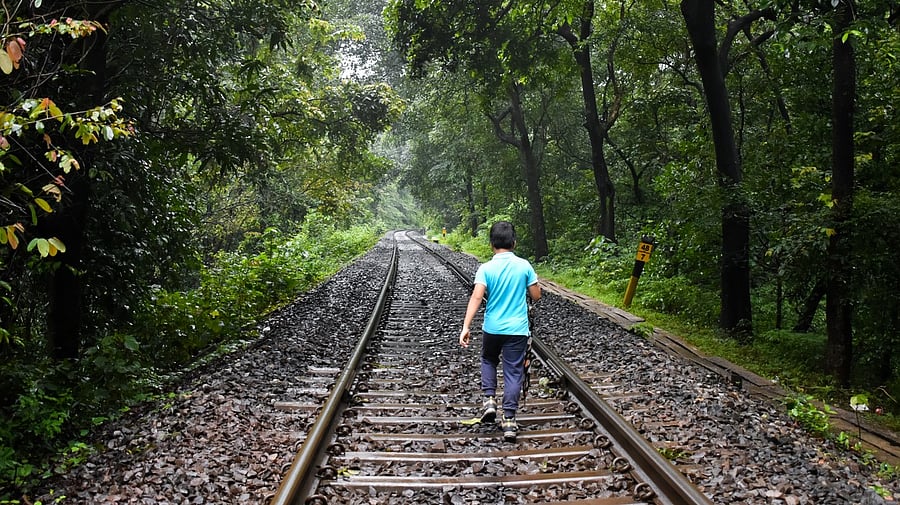 <div class="paragraphs"><p>Image showing a boy walking along a railroad track. For representational purposes.</p></div>