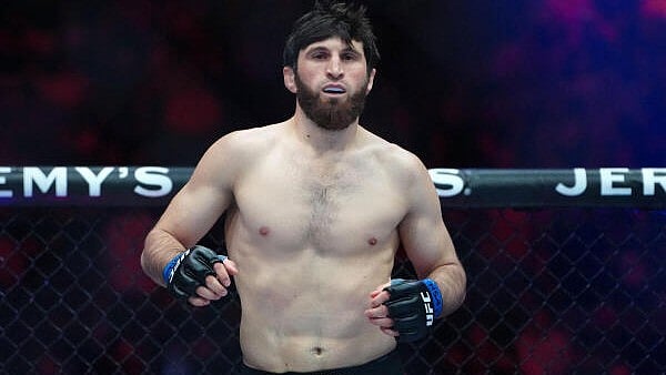 <div class="paragraphs"><p>Magomed Ankalaev (blue gloves) prepares to fight Alex Pereira</p></div>