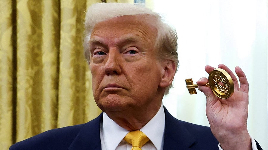 <div class="paragraphs"><p>US President Donald Trump </p></div>