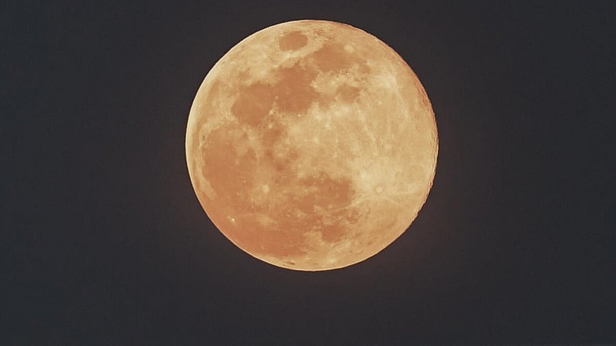 <div class="paragraphs"><p>Representative image. </p></div>